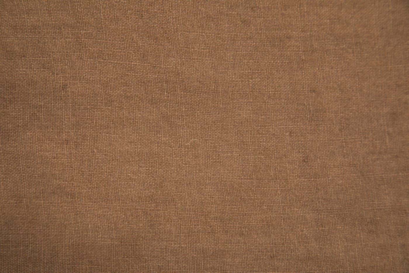 Raw long-staple cotton fibres before spinning